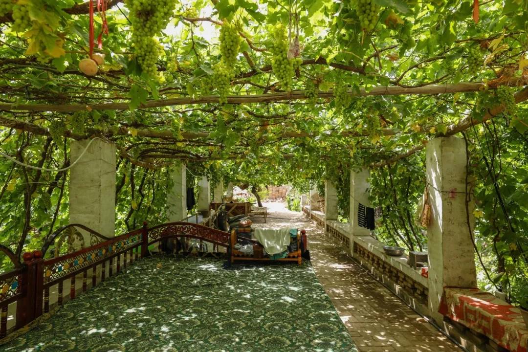 疫情肆意蔓延是什么意思,疫情为什么那么多地方管控