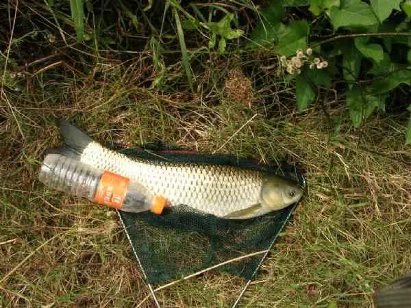 钓鱼人最怕的几种情况是,钓鱼人的十大心理