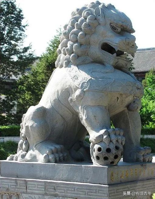 北大石狮子绝育事件,北大石狮子修复了吗