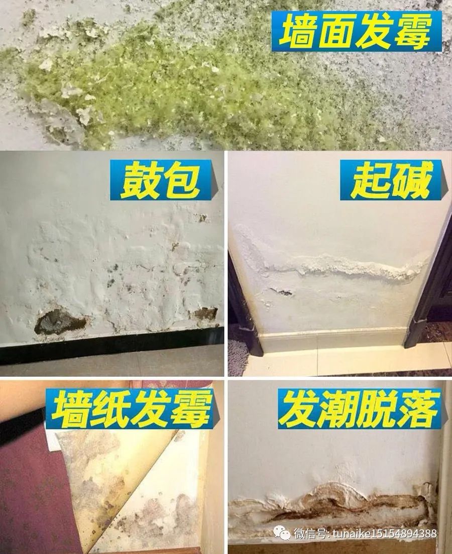 墙体发霉补漆神器,墙面发霉修补神器
