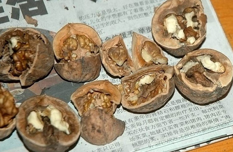 吃了核桃霉菌会怎样,吃了有毒的核桃怎么办