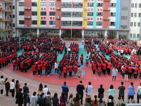 法律为少年成长保驾护航,法律为青少年保驾护航