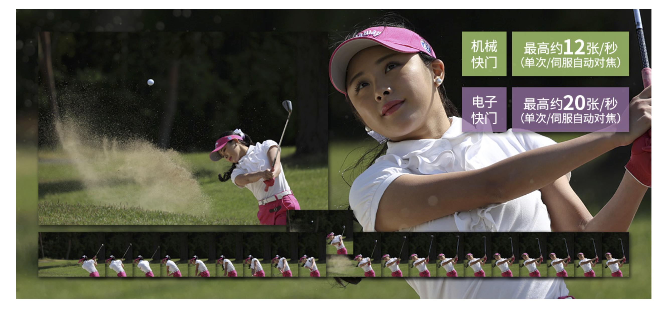 佳能相机5r与5d4的性能对比,佳能最具性价比相机