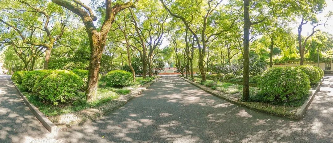 青年毛主席，榜首进一中！他曾就读的长沙市一中究竟有多牛？