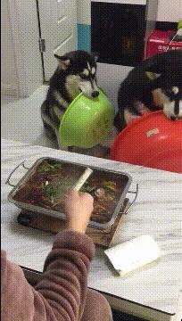 捡到了u盘里面会有什么,捡到一个u盘还好没有用