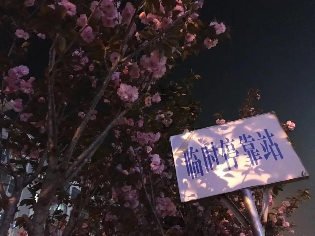 朋友圈如何看到访客记录,朋友圈访客记录真的假的