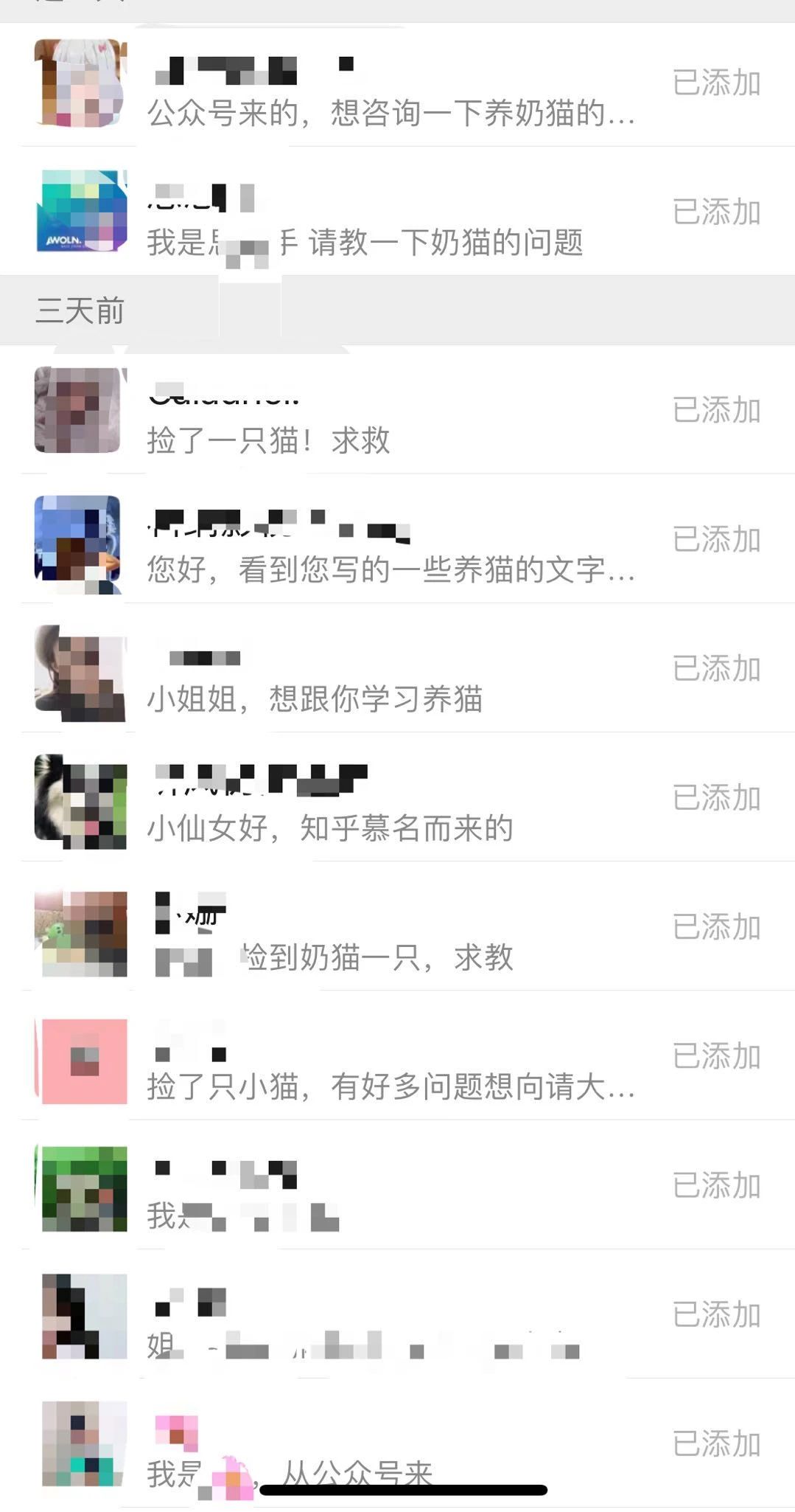 刚出生几天的小奶猫怎么养,刚养的小奶猫怎么养