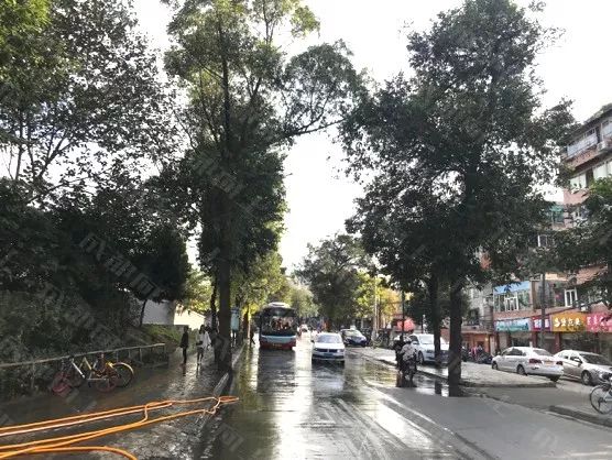 双十一优惠力度空前,双十一物价和平时的差别