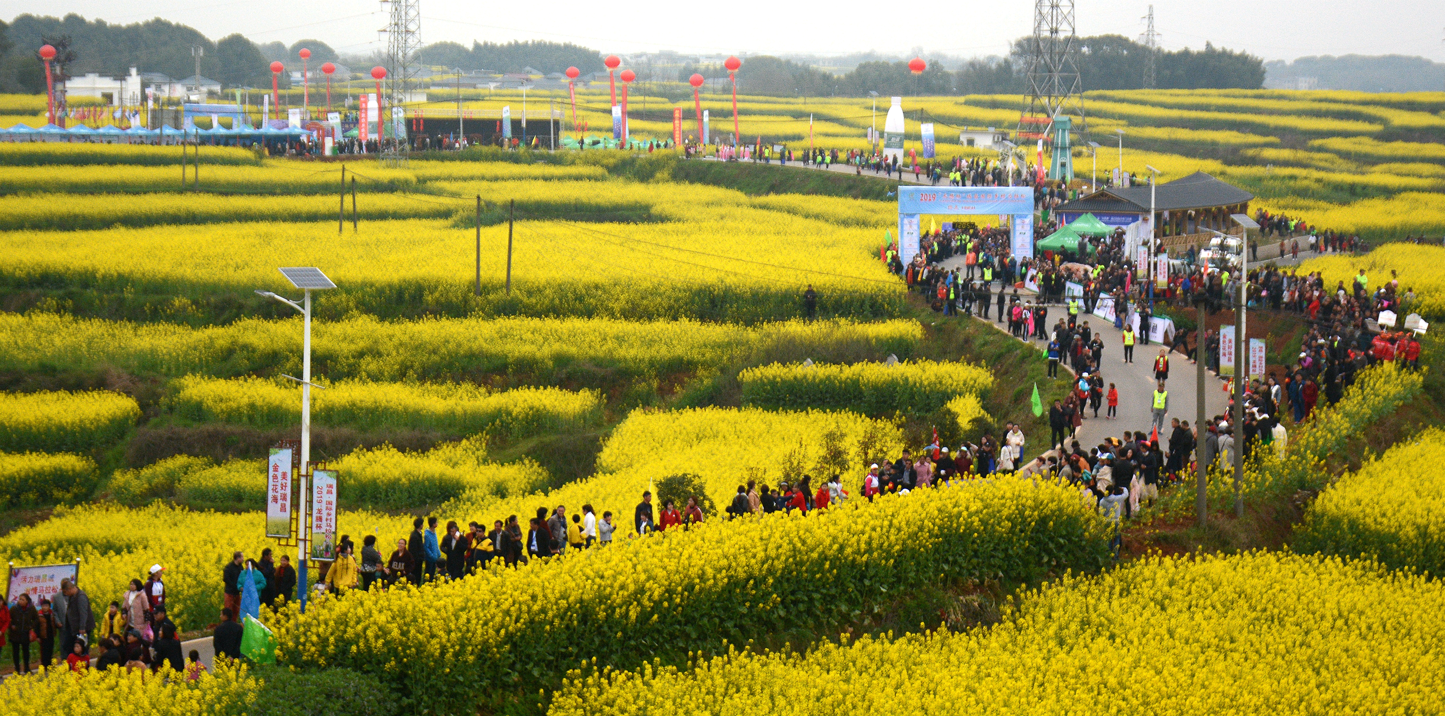 江西九江瑞昌半程马拉松直播,南昌鄱阳湖生态马拉松开跑