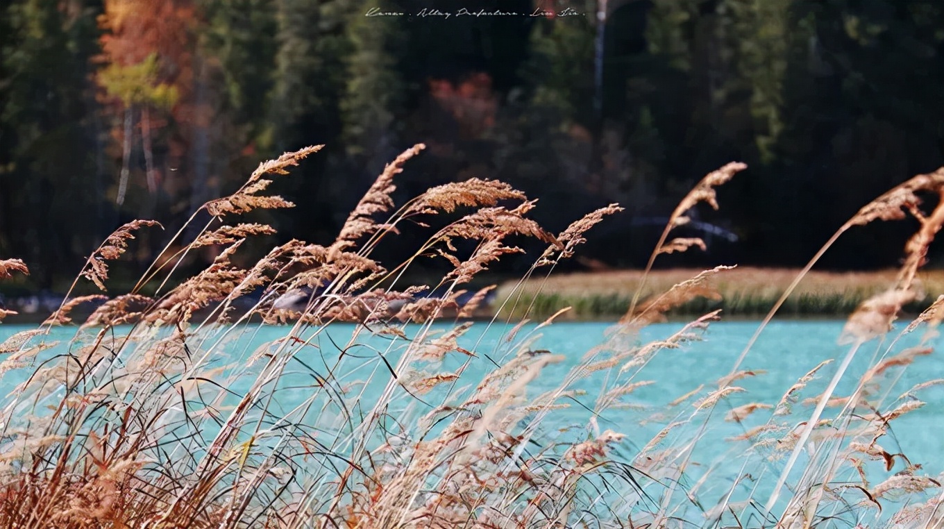 北疆四季,北疆的四季美景