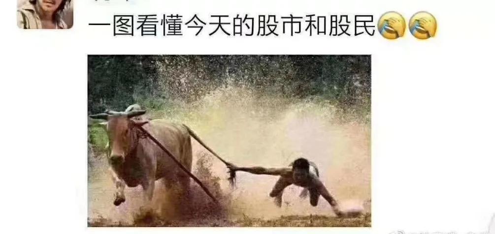 这届散户有多厉害,这届股民