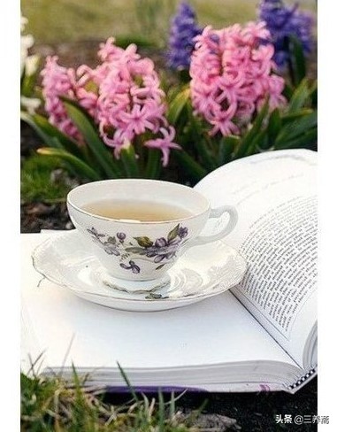 风暖鸟声碎日高花影重形容什么,风暖鸟声碎日高花影重是谁说的