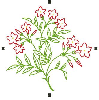 十字绣花卉玫瑰,十字绣花卉玫瑰郁金香百合