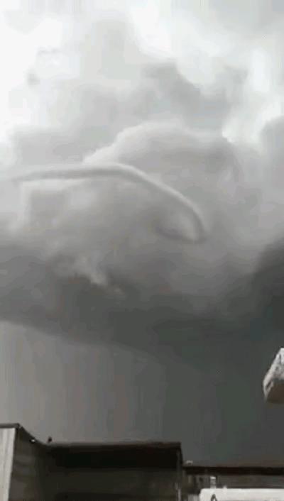 台风烟花成因和解决措施,全面的解读台风烟花