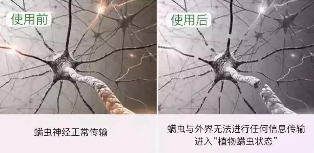 床上有螨虫身上痒用什么药来洗,身上痒可能床上有螨虫怎么解决啊
