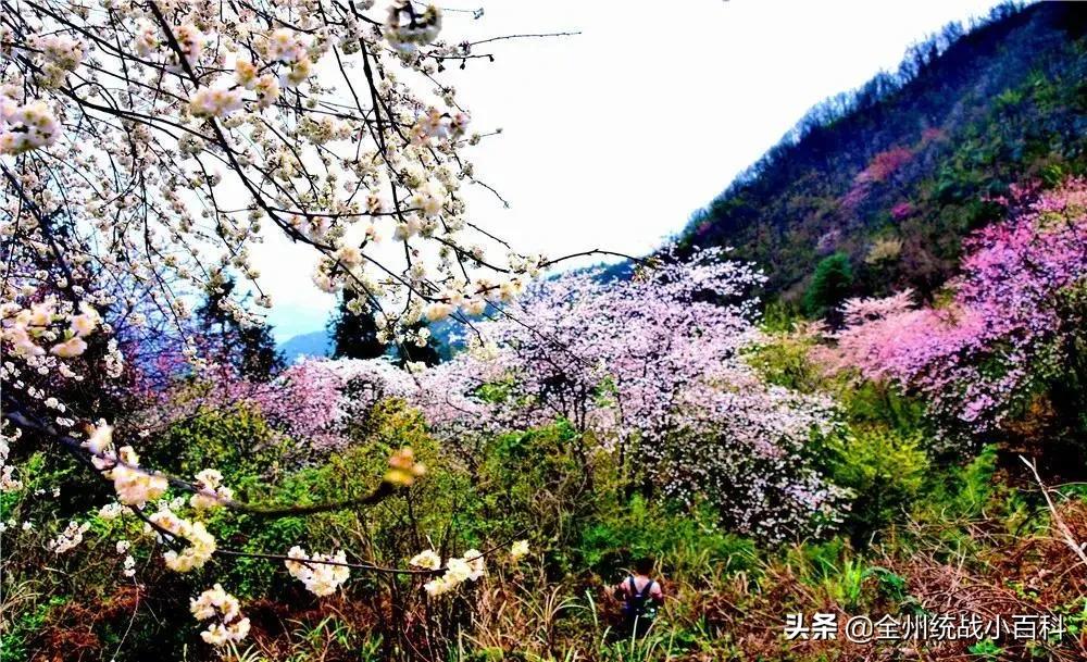 央视宣传全州,央视向全国推介吉林