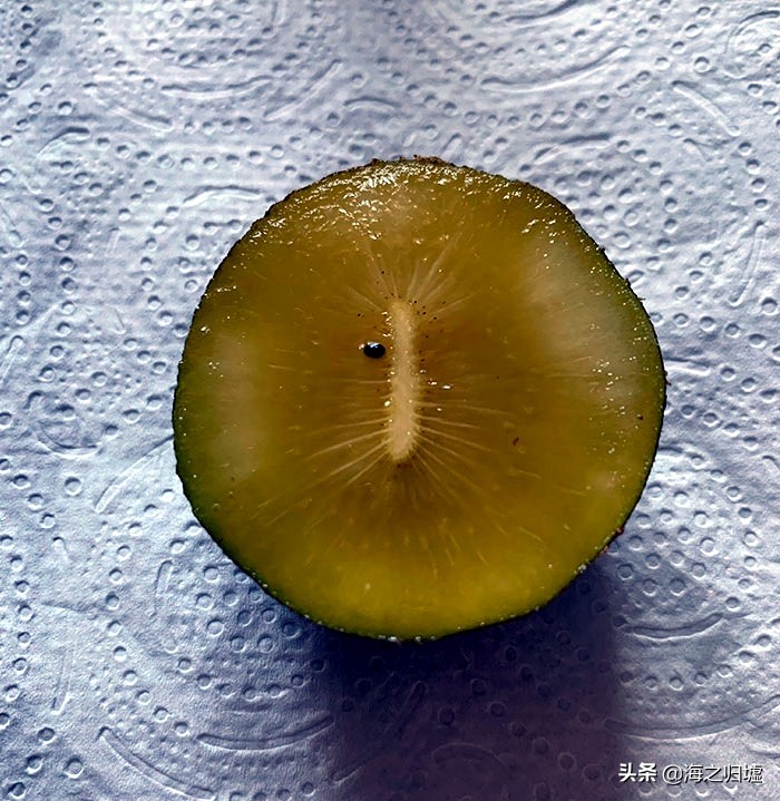 最神奇的头发图片,最美变色头发女孩照片大全