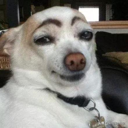 平价又好用的眉笔推荐,眉笔推荐前十名正品