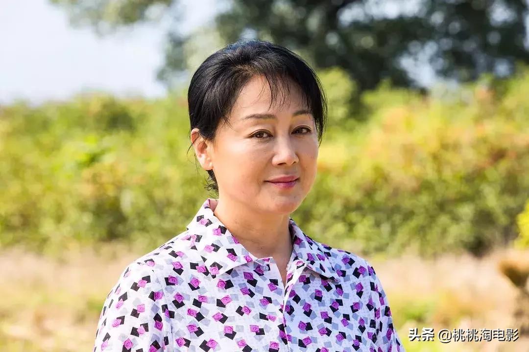 名侦探柯南开年篇合集,诛仙与小小的愿望