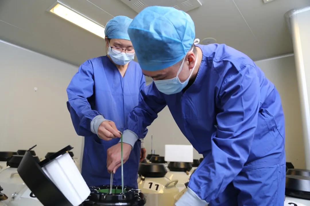 试管婴儿胚胎移植一次成功的几率,试管婴儿移植失败胚胎去哪里了