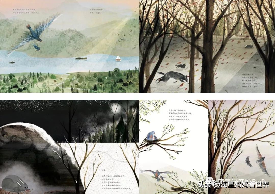 提高3-6岁孩子想象力的绘本,让孩子提升想象力的书