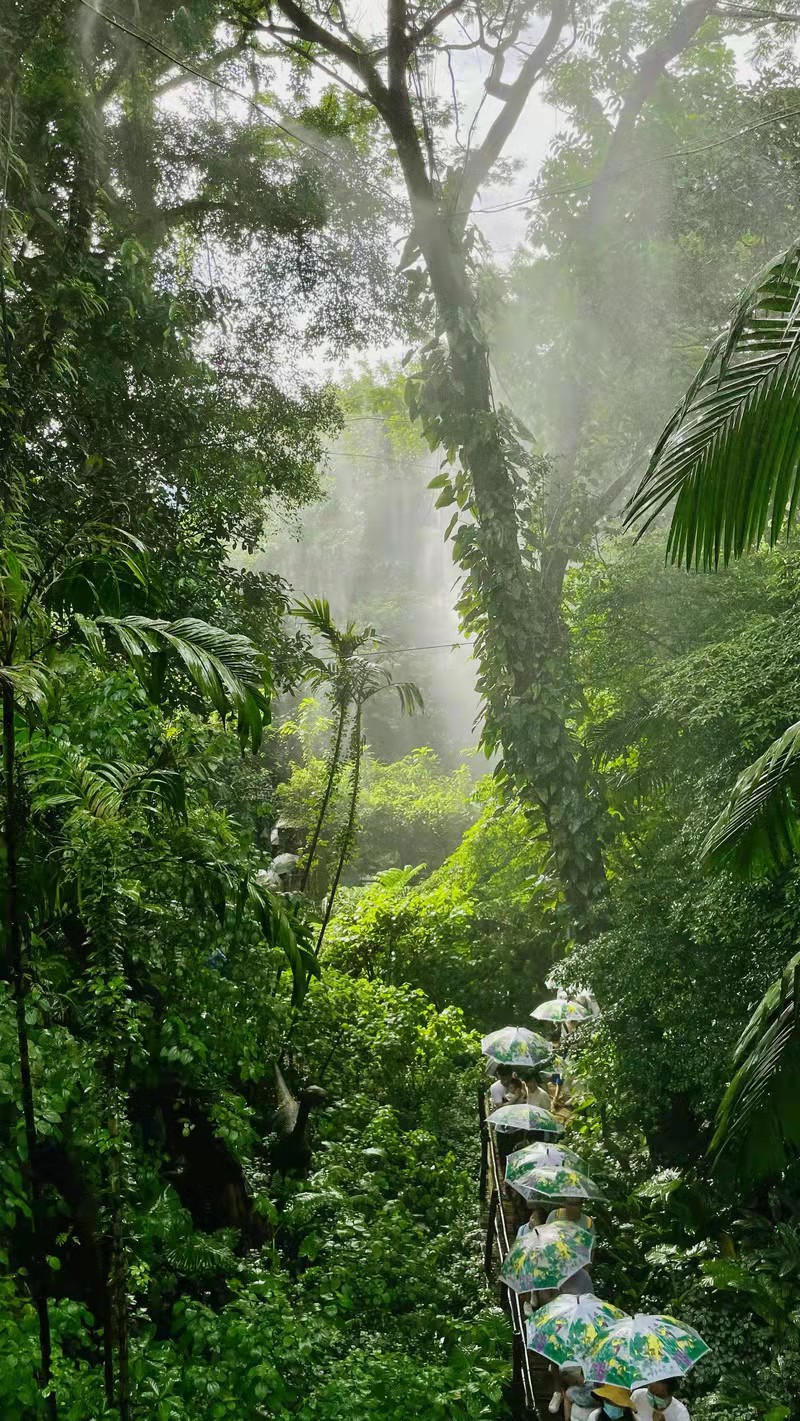 深圳青青世界公园,深圳青青世界门票