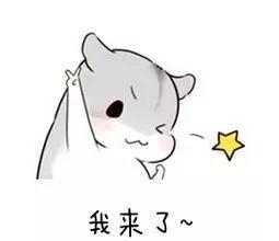 分批入队通关宝典,分批入队时所有队员都参加吗