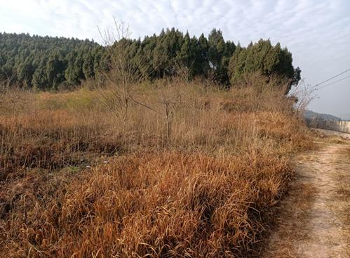 丘陵如何实现机械化,坡地如何用机械耕种
