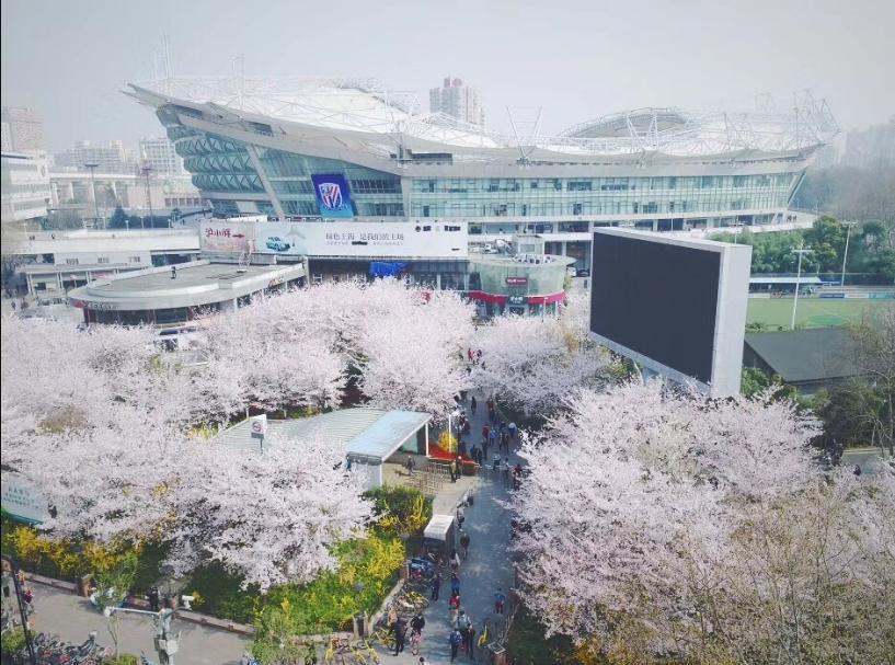 2023亚洲杯承办城市建设足球场,能承办足球赛事的足球场