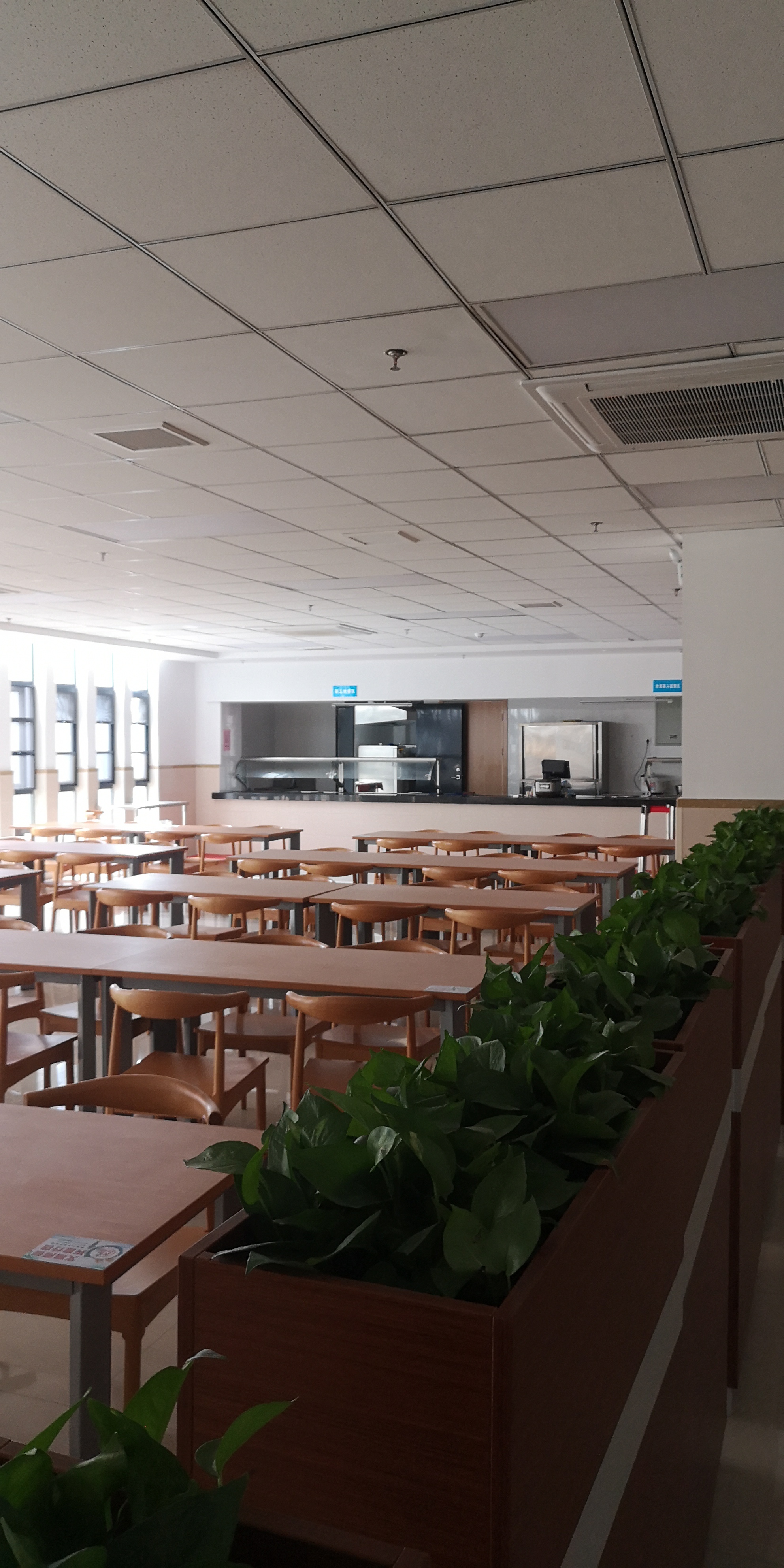 诡异的低颅压和它的克星何非方（下）我的低颅压求治经历FR妈妈