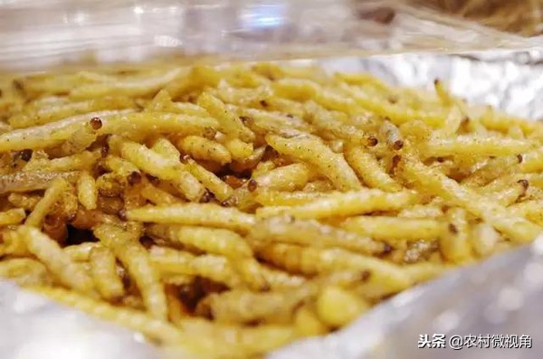 农村田间致死的虫子叫什么,地里害虫消灭的同时蚯蚓会死吗