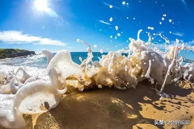 征服星辰大海，会野国际M600商界精英海丝路帆船挑战赛正式启航