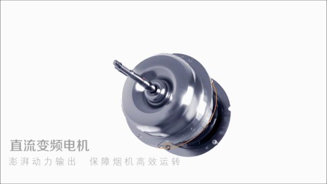 格力董明珠店抽油烟机,董明珠格力抽油烟机