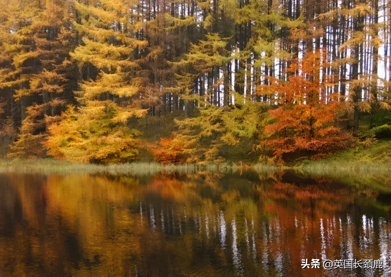 英国秋天好去处,英国秋天旅游必去的地方