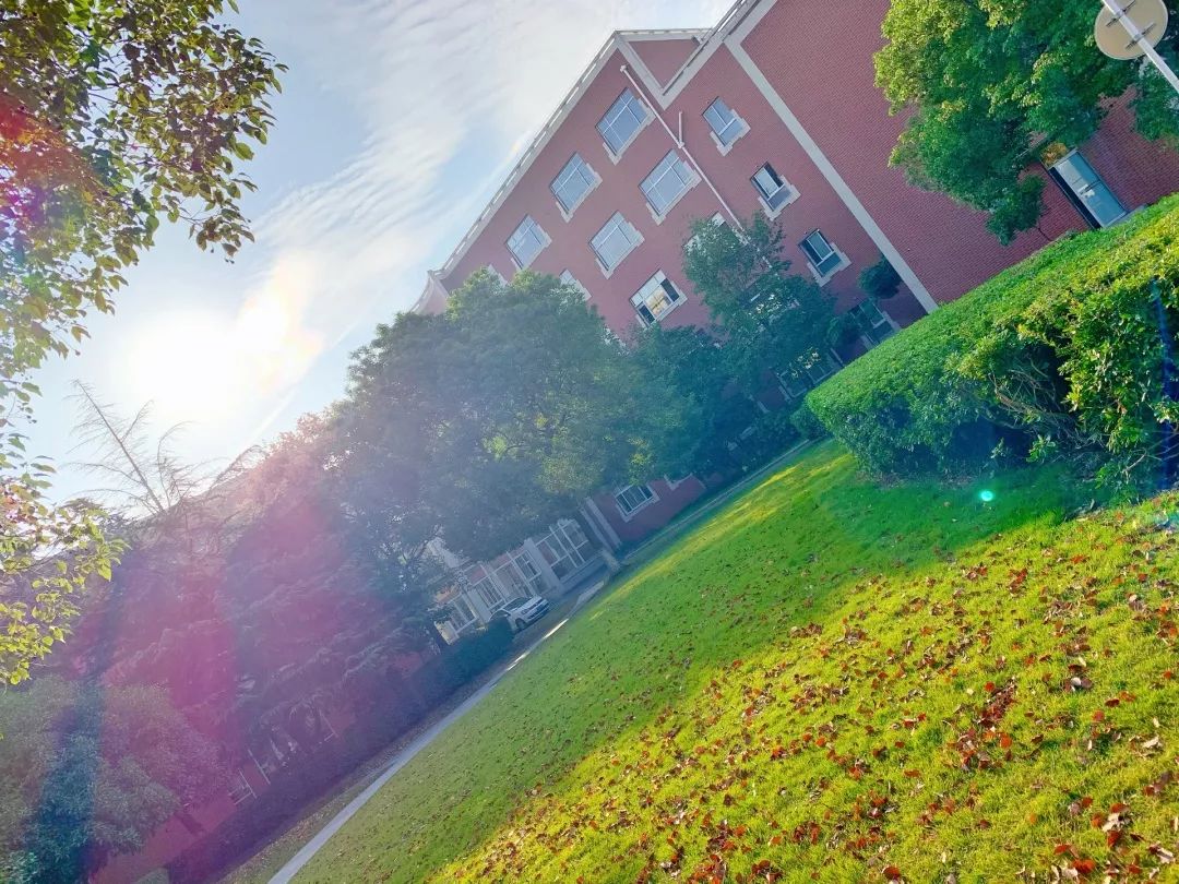 【秋色】一起逛青浦的校园，在书香中邂逅最美的秋
