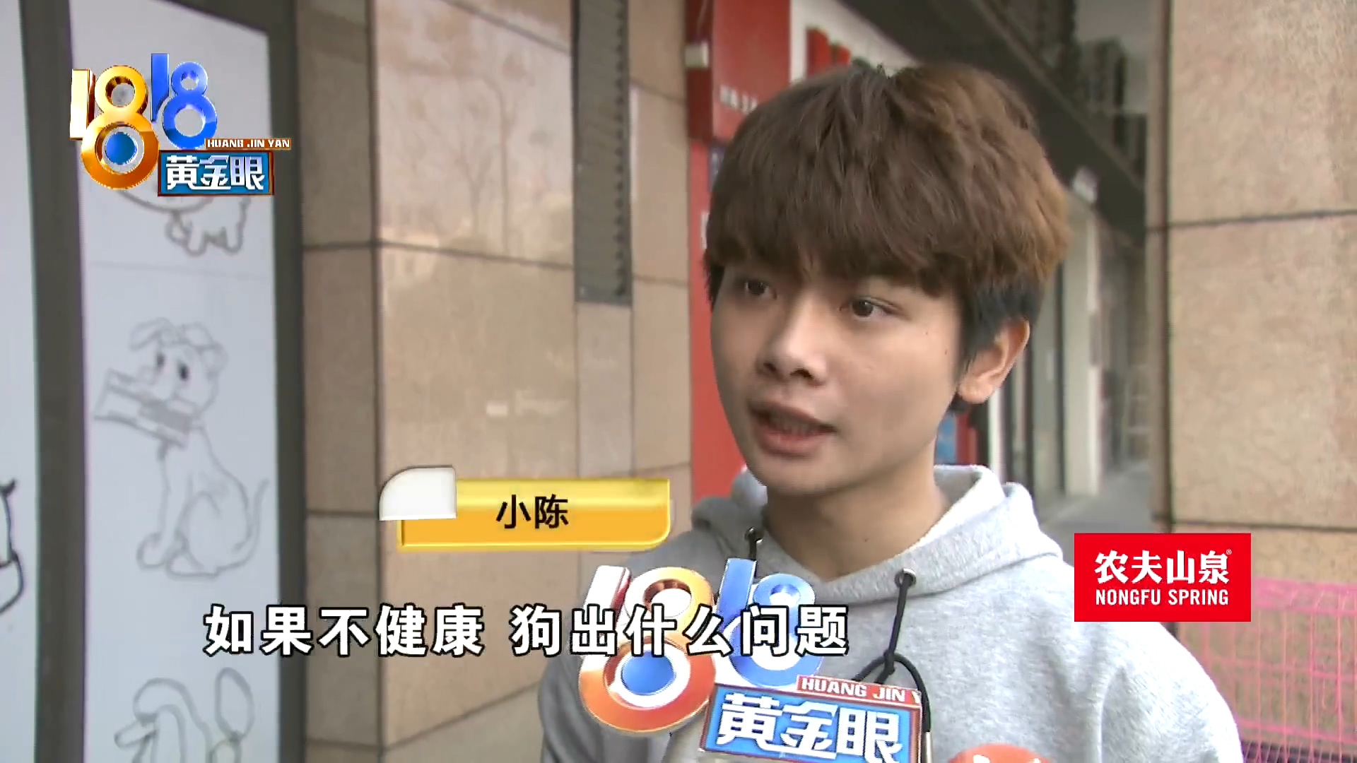 刚买10天不到的小狗被炖了,买来三天小狗就腿站不直了