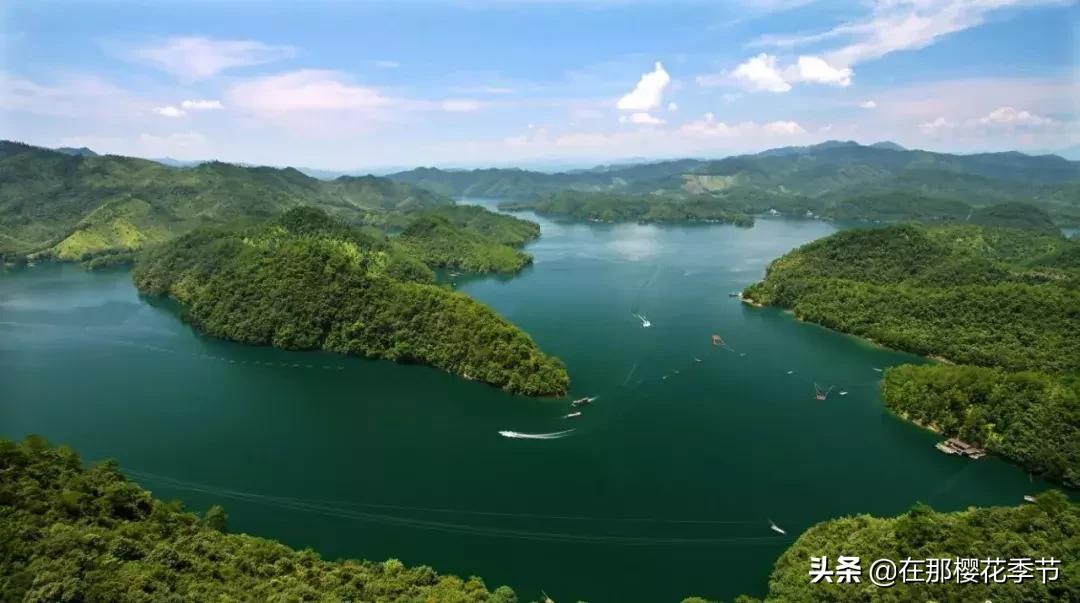 赣县区2024年重点项目规划,赣县有什么旅游的地方吗