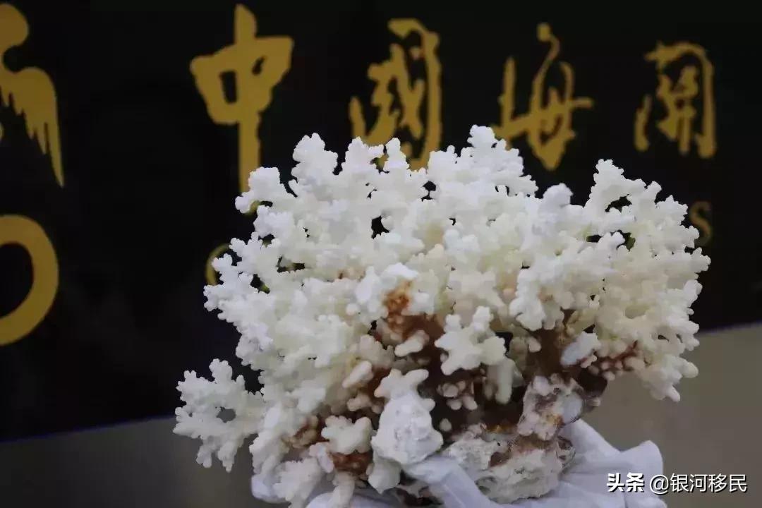 去香港要关注什么避免罚款,最新香港出入境禁带物品