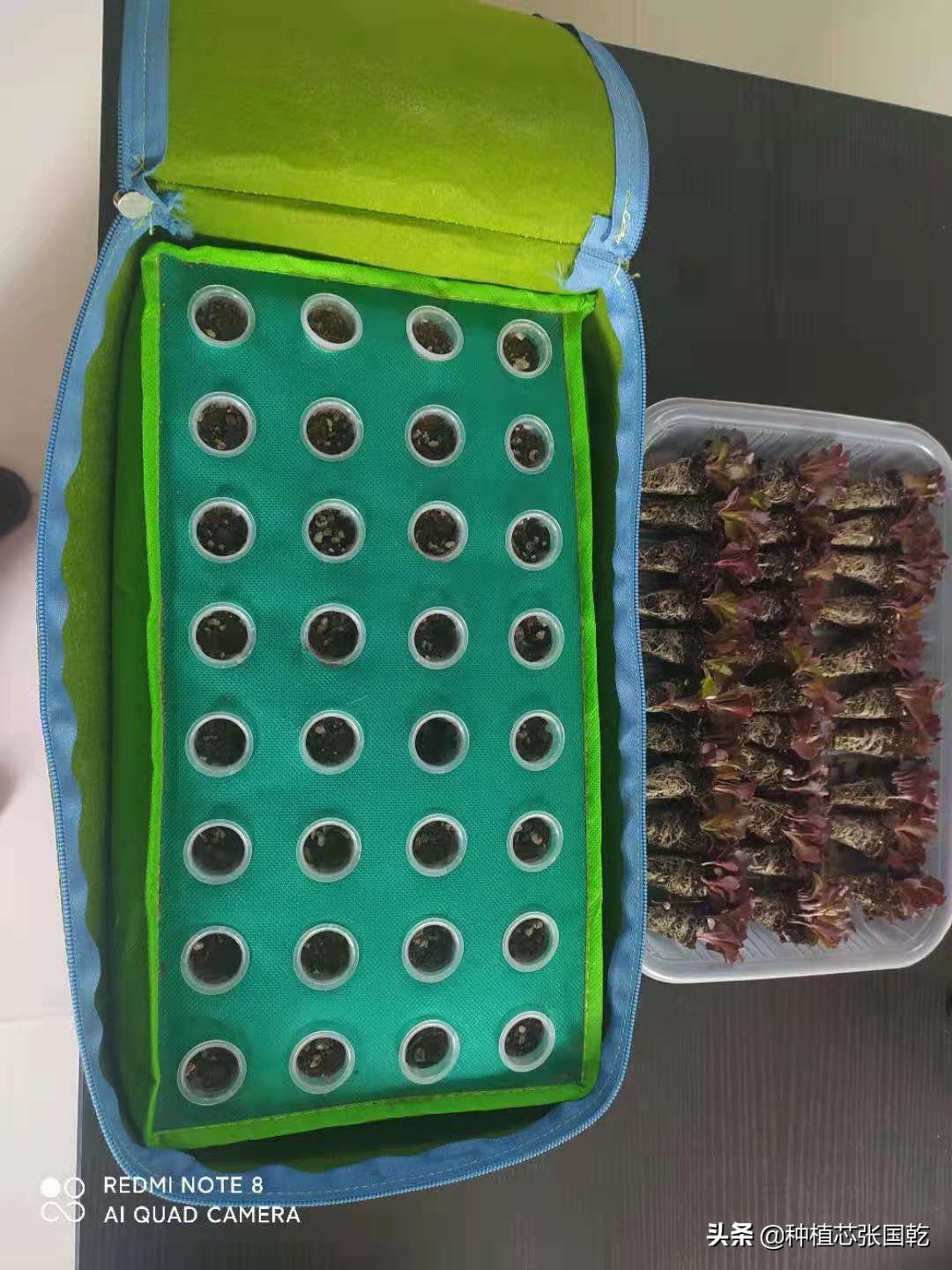 聪颖农业创新创业大赛项目推荐,农业创新创业案例分享