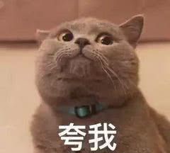 干皮用爽肤水还是柔肤水,干皮公认的十大好用爽肤水
