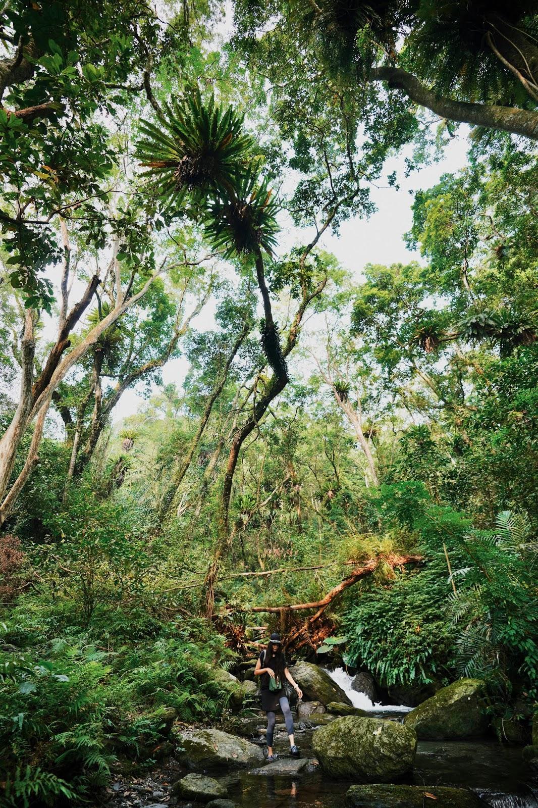 溯溪鞋能当攀岩鞋吗,科恩溯溪鞋好穿吗