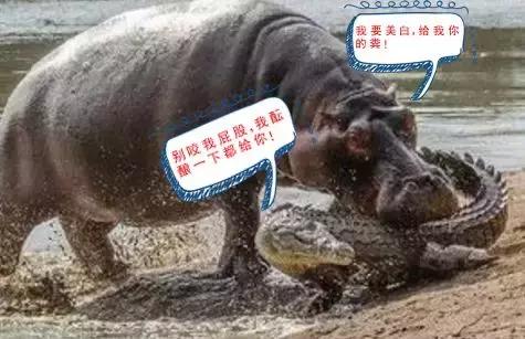 女人为美白拼命,为了美白的女人有多拼