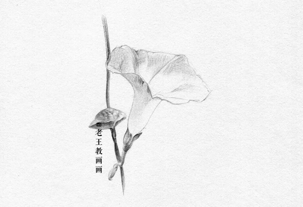 小白学习素描需要准备什么,小白学素描入门教程