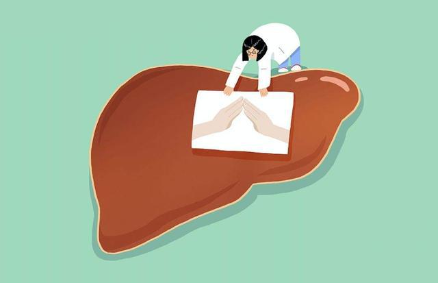 肝脏可能出现健康问题的提示,肝脏劳累怎么调理