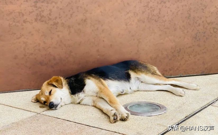 三千年前的神秘顶流现身武汉，速度围观