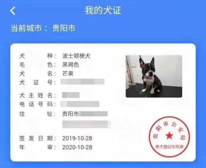 贵阳狗证怎么在网上办理,贵阳网上怎么申请犬证