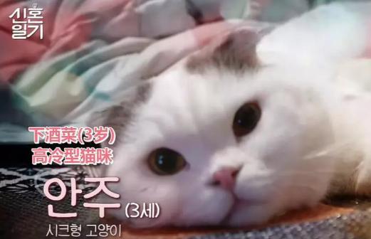 韩国综艺中国艺人收入,撑起韩国综艺半边天的男人