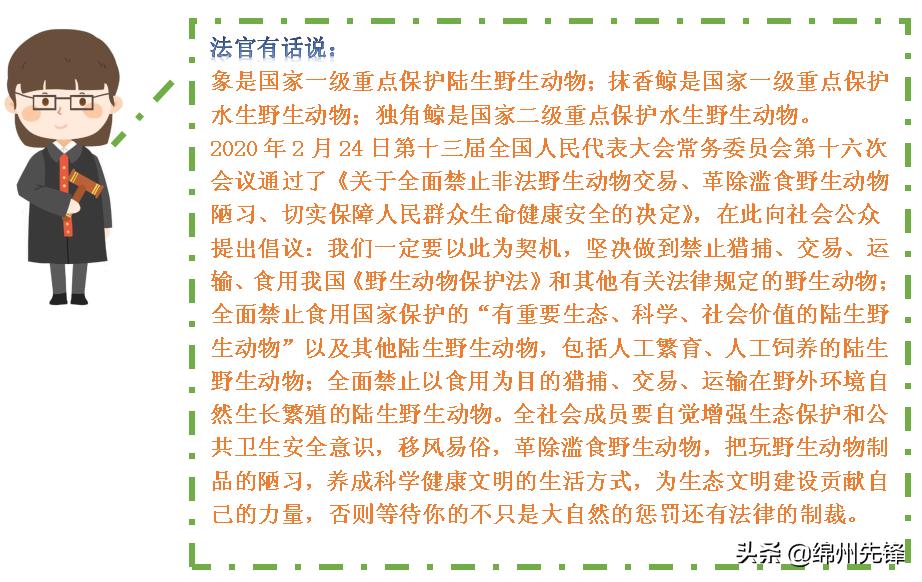 海外代购判刑十年,走私象牙两华人被判缴3亿