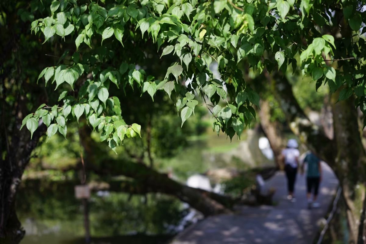 第1天去腾冲怎么玩,第一次去腾冲住哪里