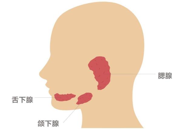 宝宝腮腺炎如何好得快,宝宝腮腺炎需要关注什么